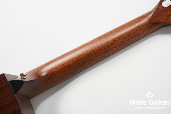 312ce 12Fret V-Class